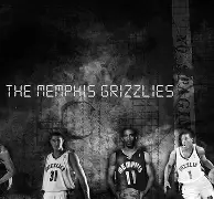 孟菲斯灰熊迎德国杯关键赛，今晚迎来里程碑，压力陡增，临场指挥获称赞的简单介绍-九游体育网站