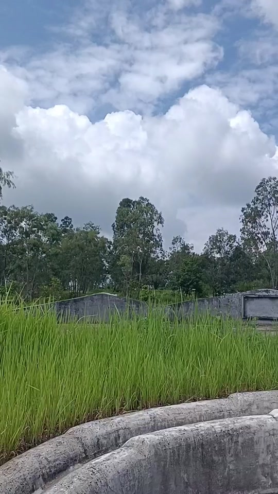 I??F墳(cci和cia区别)-九游娱乐网站